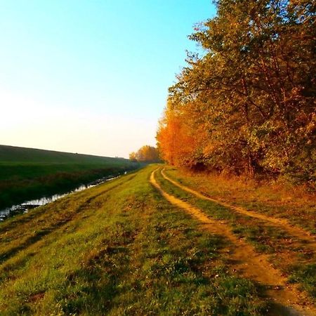 Relax Inn Šoporňa エクステリア 写真